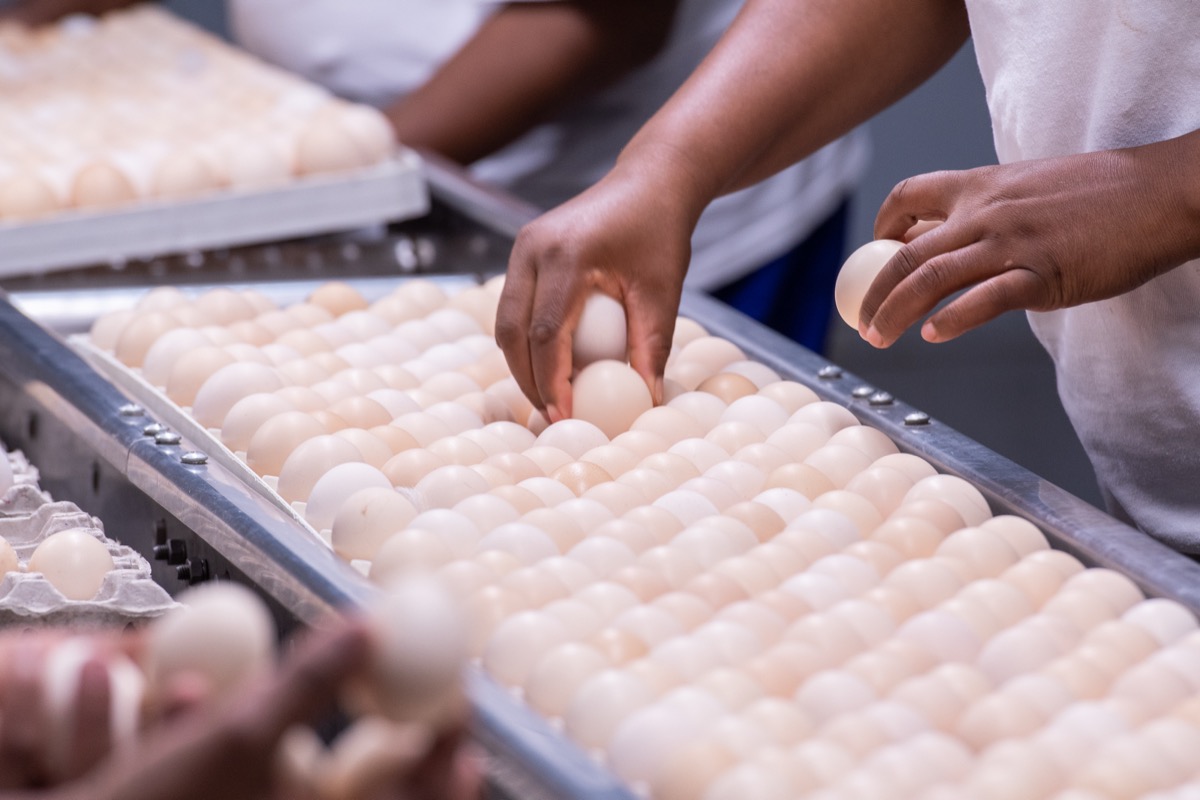 النقل المحتوي على المناخ